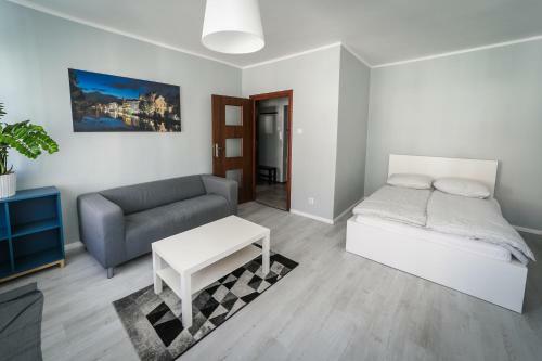 Silver Vision Apartment - Rynek ออปอเล ภายนอก รูปภาพ